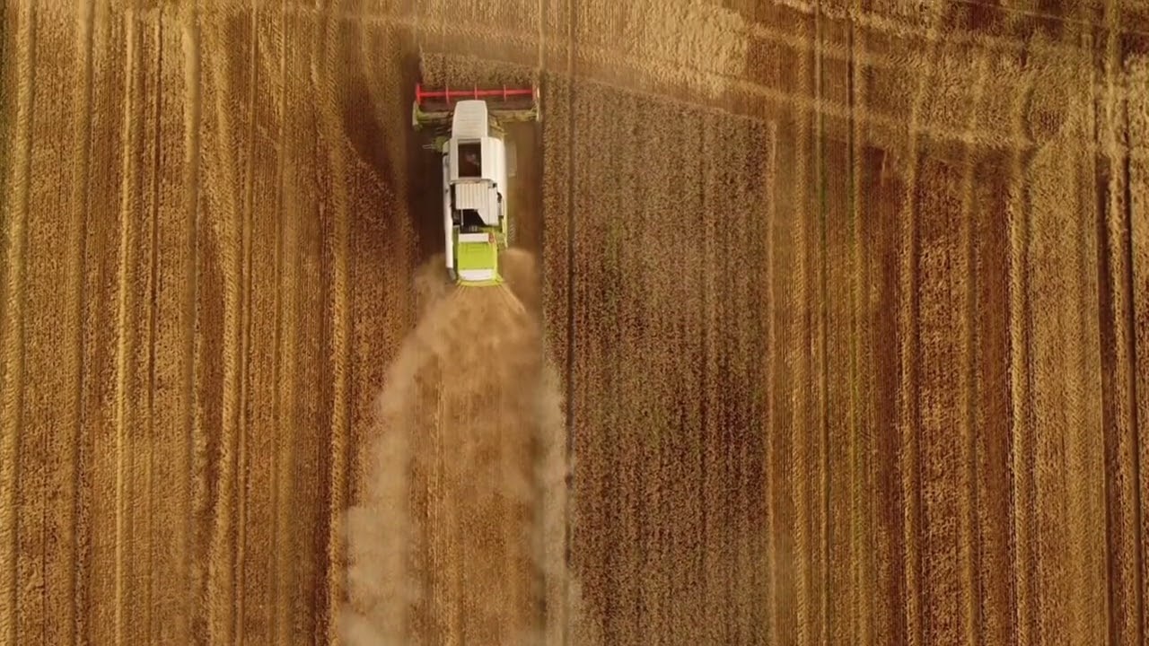 Golden Harvest | Country Life & Modern Farming - Agriculture Combine