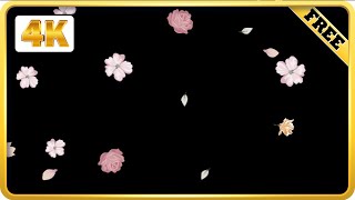 Pink Flowers Falling Black screen screenshot 1