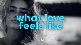 Frank Walker - What Love Feels Like (Maxi Meraki Remix) [feat. Nathan Nicholson]