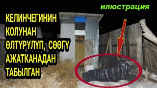 картинка: келинчегинин колунан өлтүрүлүп| жансыз денеси ажатканадан табылган