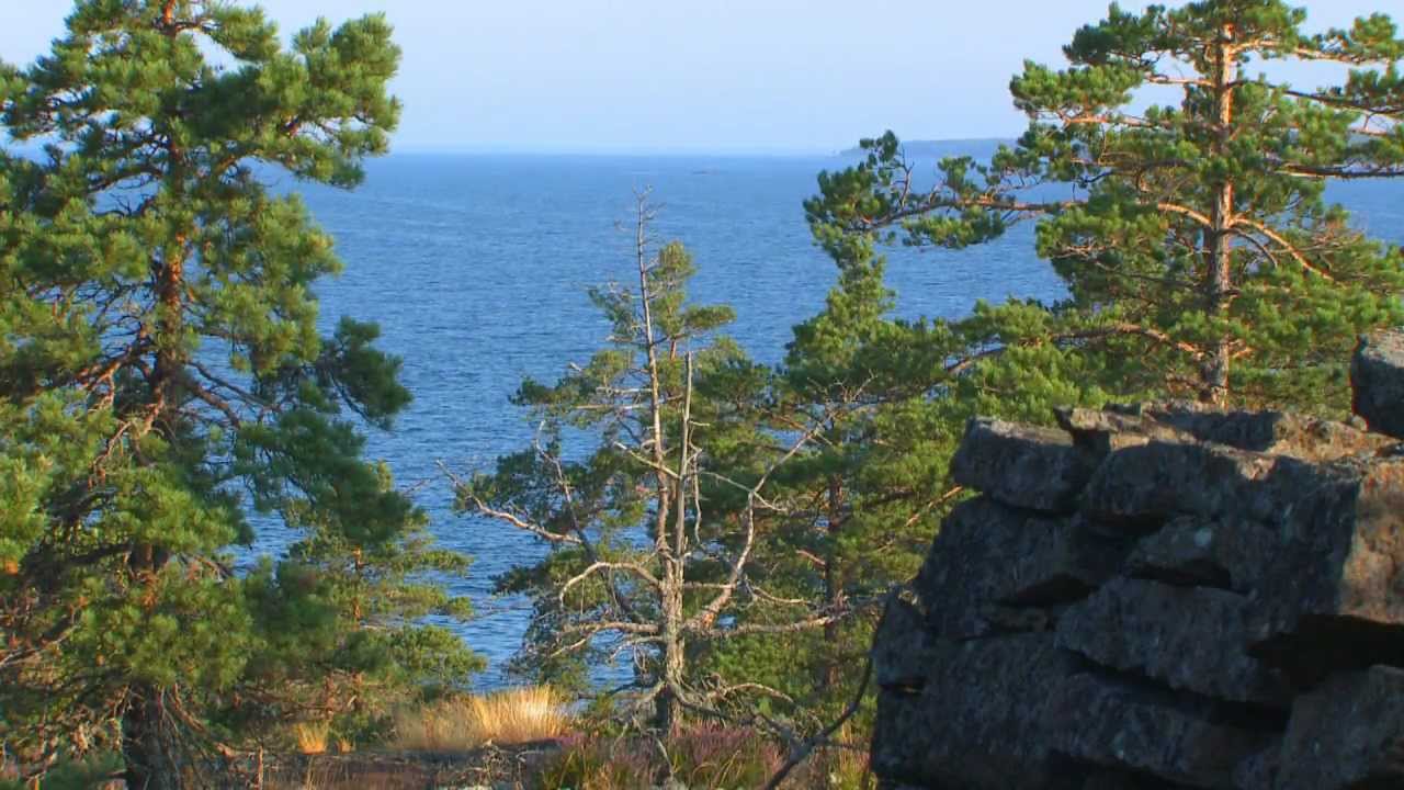 Explore the Gulf of Finland National Park and the wonders of the outer  archipelago!