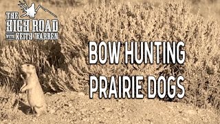 Prairie Dog Pest Control | Bow Hunting