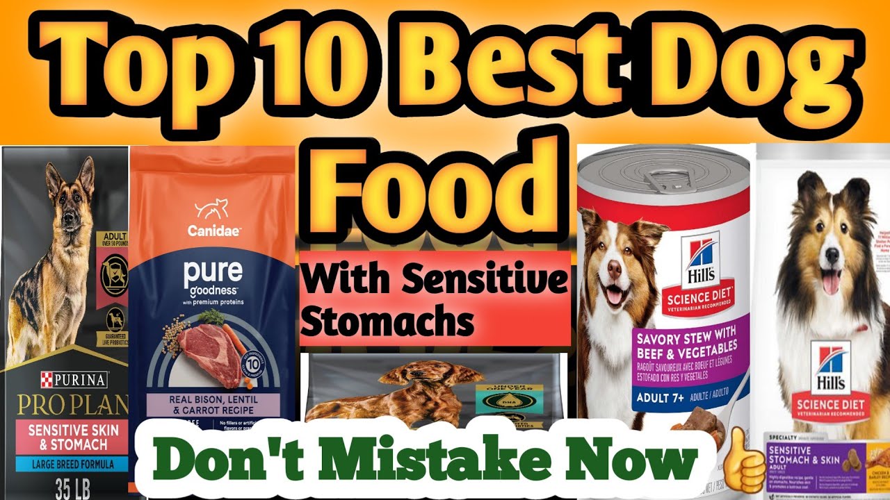 top 10 best dog food with Sensitive Stomach best dog food for puppy