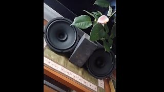 DAITO VOICE ダイトーボイス DS 200R 8Ω 20cm を裸で鳴らしてみた