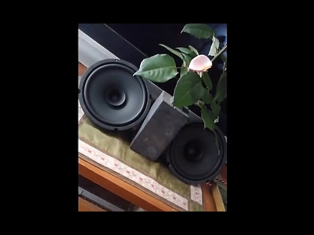 DAITO VOICE ダイトーボイス DS 200R 8Ω 20cm を裸で鳴らしてみた