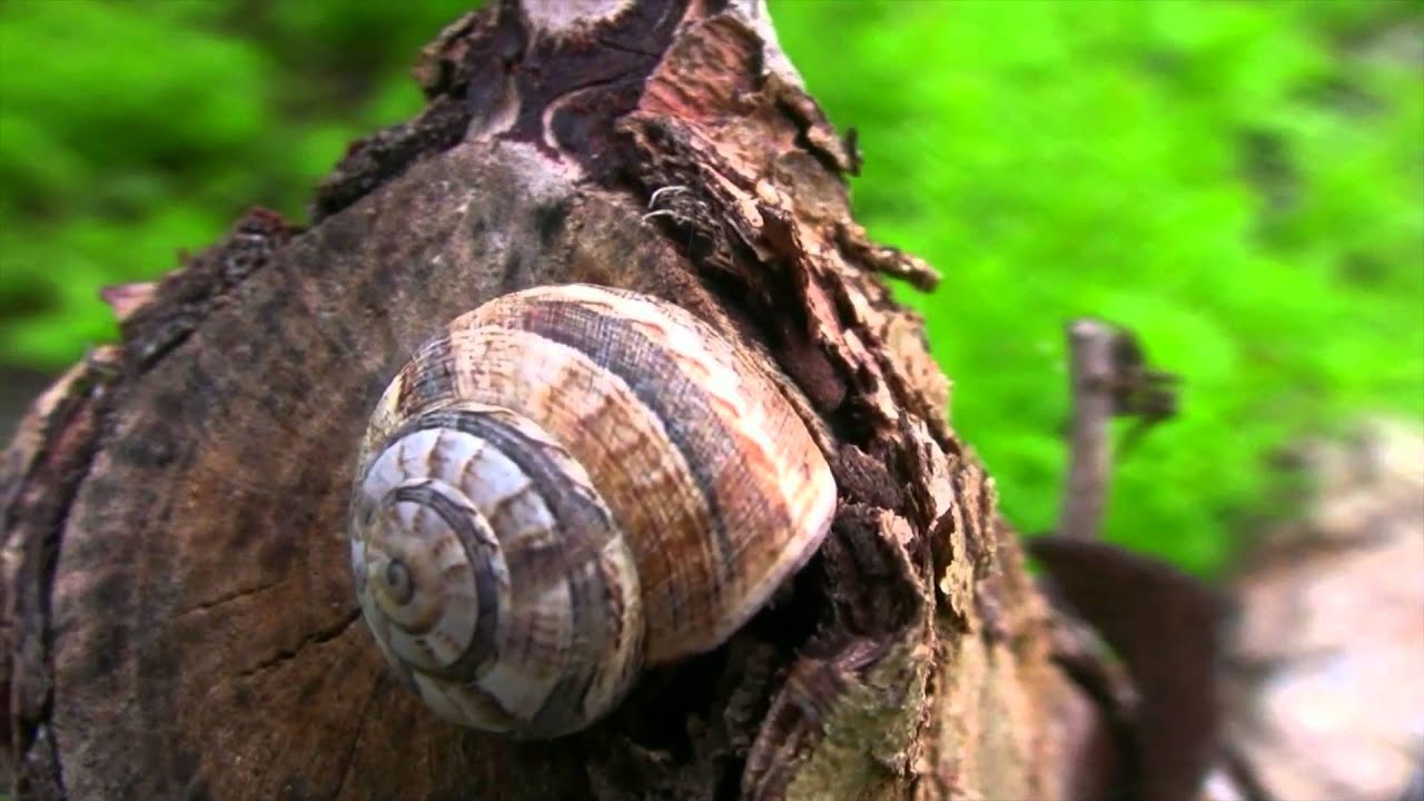 ไม่บังเอิญ #WhiteSocial #WhiteChannel #WhiteFlix #WhiteChannel