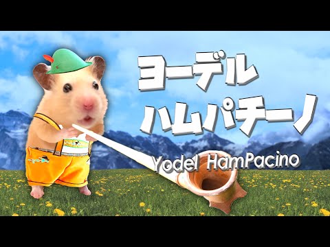 HamPacino Channel - YouTube