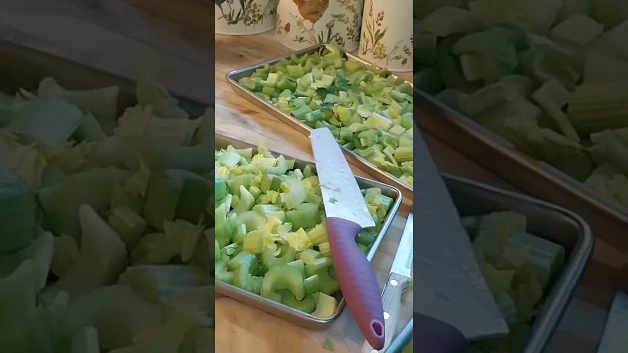 #bepreparednotscared