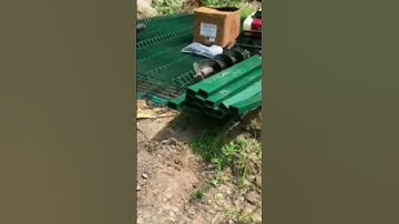 3D welded Mesh#Tatawiron#fencingsolution