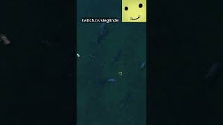 warum so nah rangezoomed