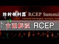 全面解读RCEP   | What does RCEP Mean for China? [Eng Sub]