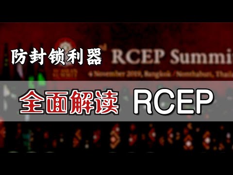 全面解读RCEP   | What does RCEP Mean for China? [Eng Sub]