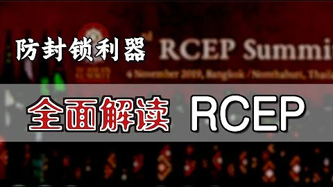 全面解读RCEP   | What does RCEP Mean for China? [Eng Sub] - 天天要闻