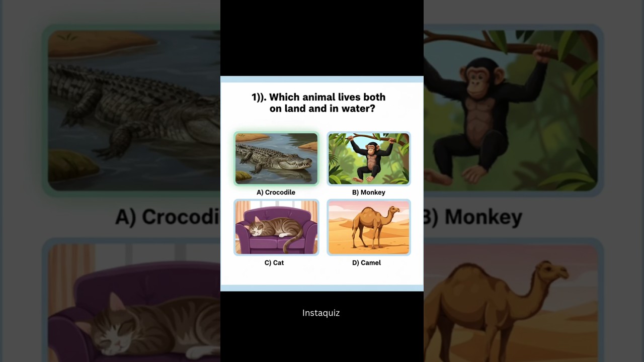 Can YOU Guess the Animal? 🐊🐒🐈🐪 