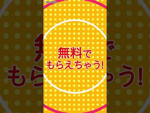 ショート、ブログ