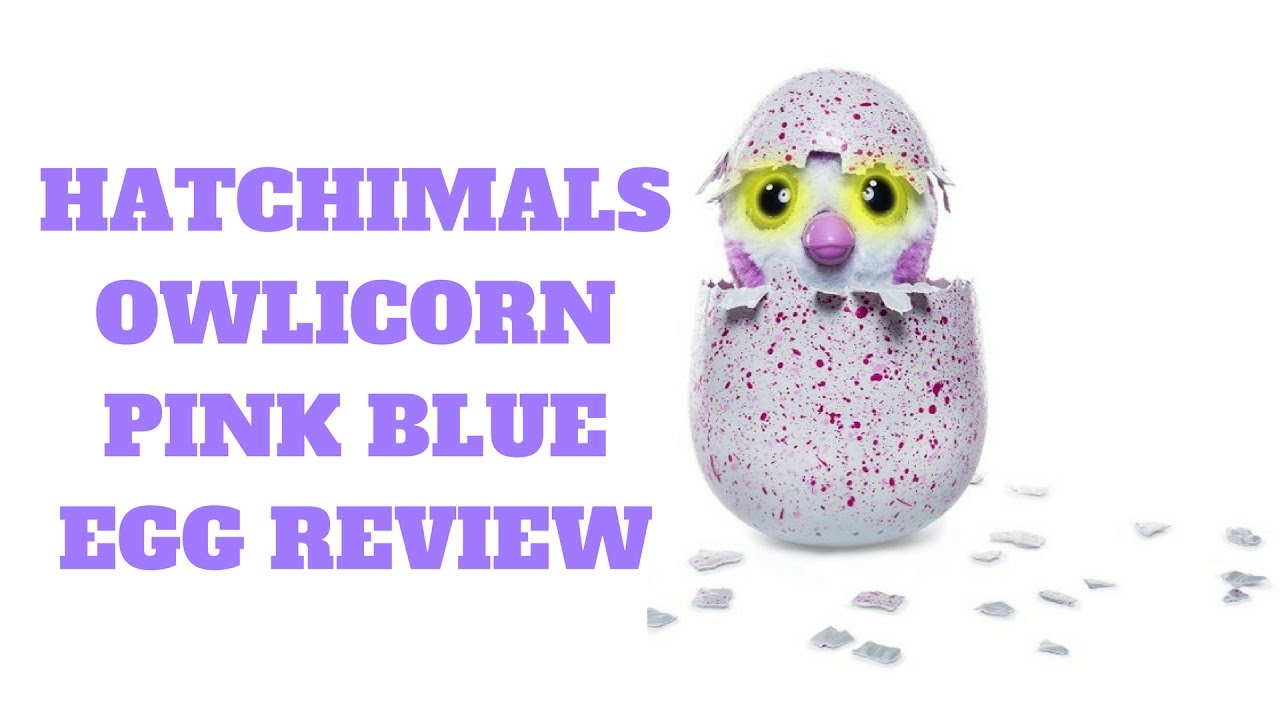 Hatchimals Owlicorn Pink Blue Egg Review