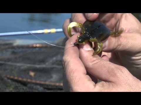 Catching Bass on the Bombshell Turtle 