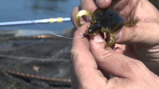 Catching Bass on the Bombshell Turtle