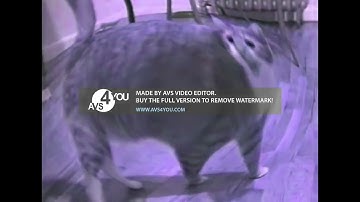 (RQ) Shortest Video on YouTube Part 5 Effects (Inspired By SF1 Ident 2005 Effects)