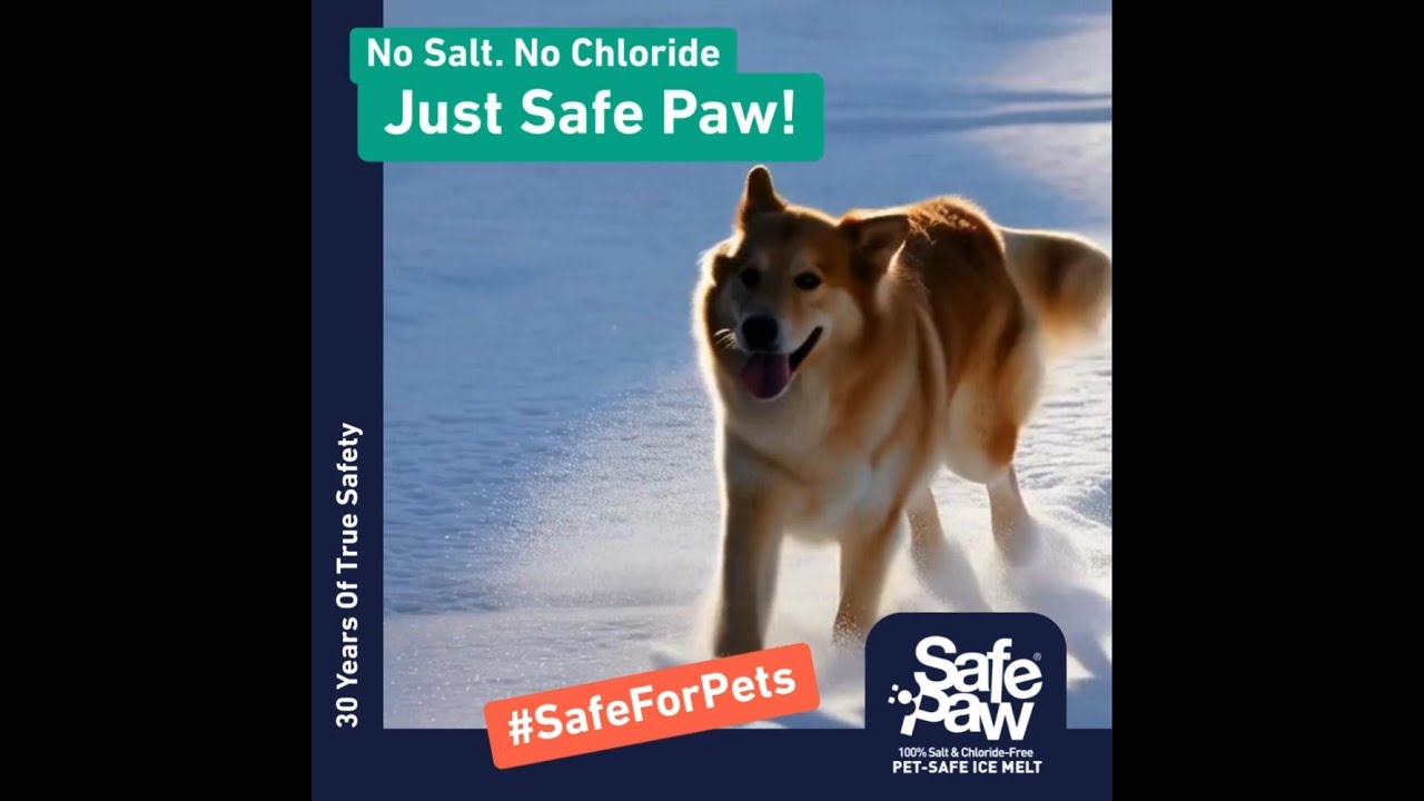 30 years of true safety