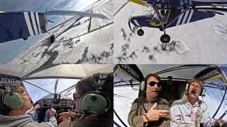 Download Lagu Zenith Aircraft Update: 40th anniversary of the STOL CH 701 SkyJeep and upcoming workshop classes MP3