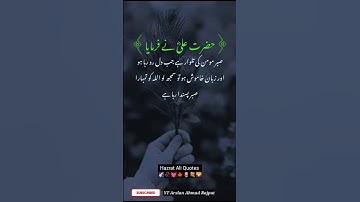 Hazrat Ali Quotes | Hazrat Ali Ki batain, golden words | islamic Quotes #shorts #hazratali #quotes