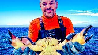 How To Cook (Boil) Stone Crab Claws