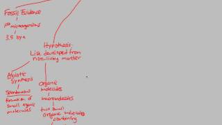 Origin of Life - Chemical Evolution (Part 1) | BIALIGY.com