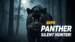 Why Are Panthers Called Forest Ghosts? Here's Why