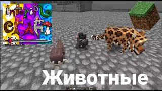 НОВЫЕ ЖИВОТНЫЕ для моего майнкрафт сервера Intoripl Craft!!!