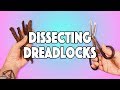 WHAT'S INSIDE 10 YEAR OLD DREADS? - DISSECTING DREADLOCKS!