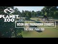 Bison and Pronghorn Exhibits| The Gage Park Zoo Episode 2