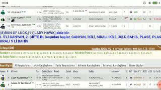 29 Ocak 2024 Pazartesi Bursa At Yarışı Tahminleri , Bülten Çok Zor Dikkat