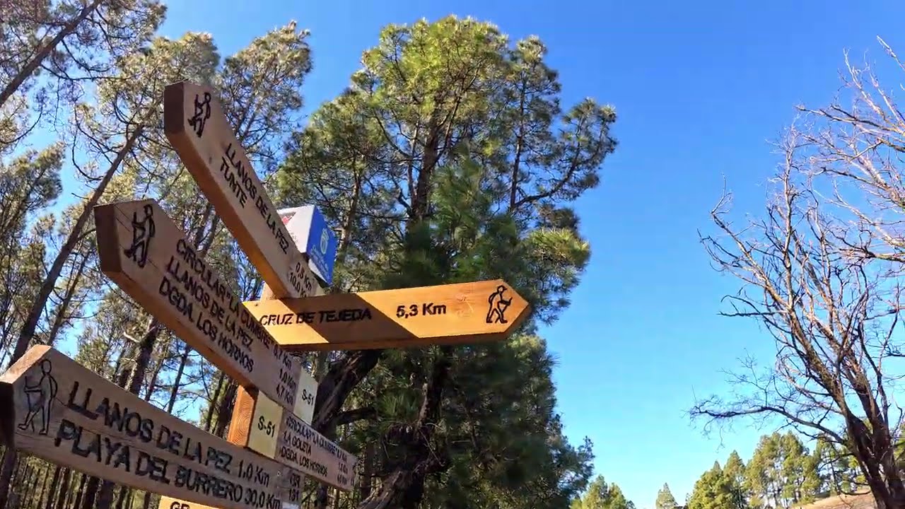 Sonidos de la Naturaleza Rutas de Senderismo en ESPAÑA 4k