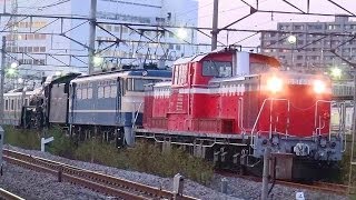 EL群馬県民の日号 故障救援 DD51 895 2013.10.28