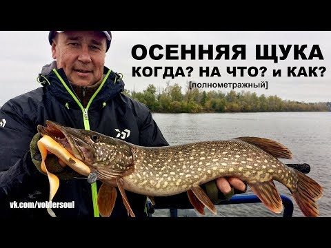 Рыболовный Магазин Октябрьский