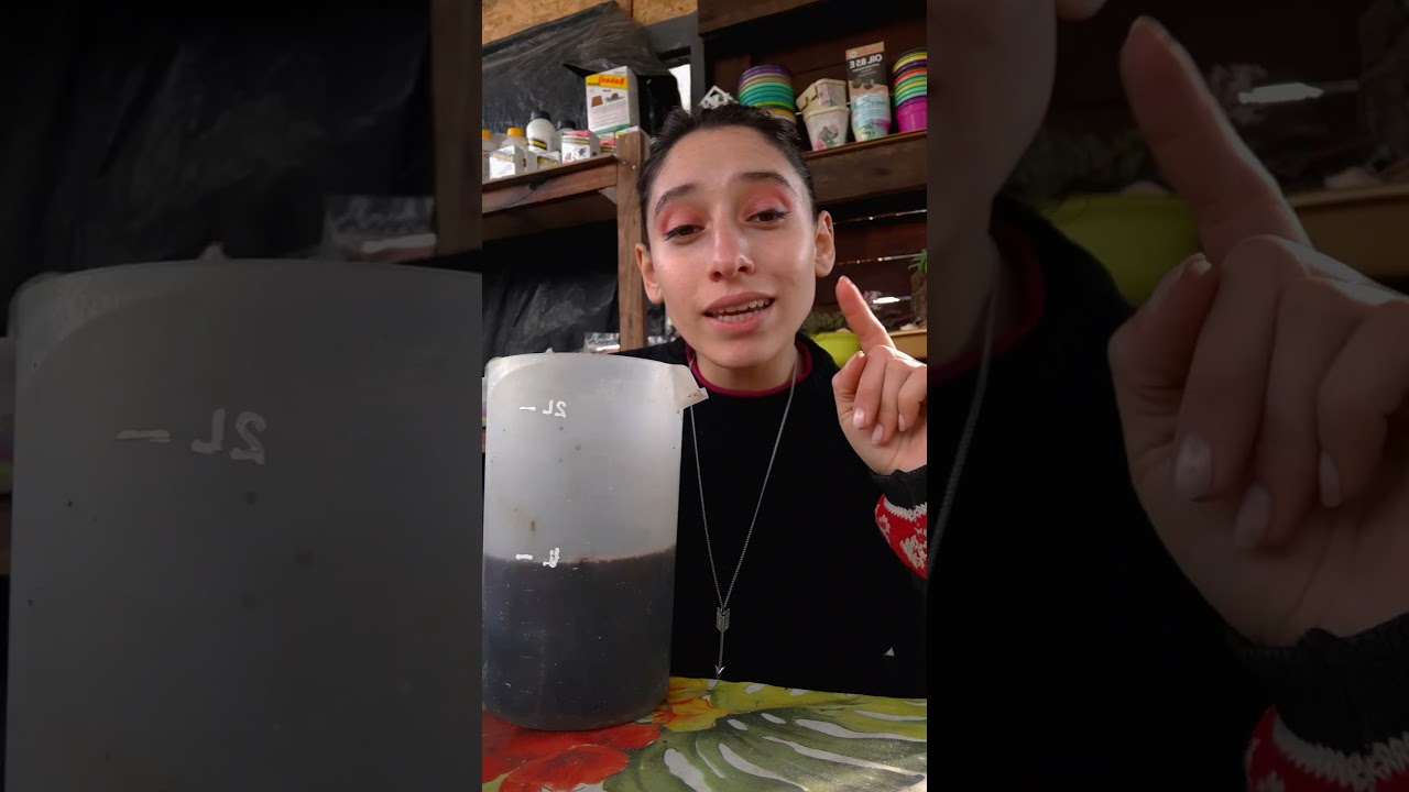 Aprendé en 3 pasos cómo preparar ENRAIZANTE AMAZONIA de Namasté Nutrientes 🌱