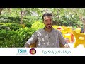 طريقك لفين يا دكتور تخصص العناية المركزة د مصطفى نبيل 