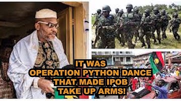 IT WAS OPERATION PYTHON DANCE THAT MADE IPOB TAKE UP ARMS! - SIGNATURE TV #fypシ #viral #trendinggist