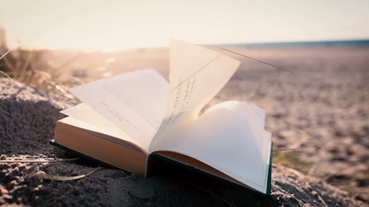 Livro