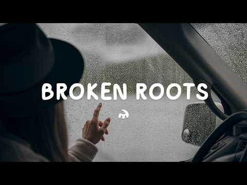 Michl - Broken Roots