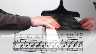 Robert Schumann: Dichterliebe op. 48 - 05 - Ich will meine Seele tauchen