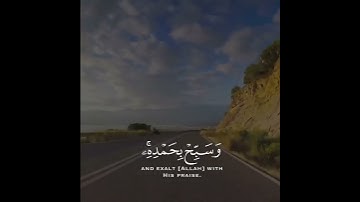 وتوكل على الحي الذي لا يموت وسبح بحمده وكفى به بذنوب عباده خبيرا | سورة الفرقان| القارئ ياسر الدوسري