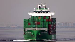 Container Ship《EVERM COMPOSE》Passing  the Tsing Ma Bridge in HK 20260921_C0004
