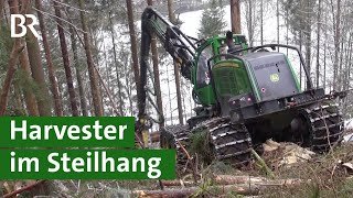 Mit Harvester und Seilwinde: Bäume fällen am Steilhang im Frankenwald | Agrartechnik | Unser Land
