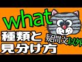 もう怖くない！whatの種類まとめ(関係代名詞など)疑問文以外
