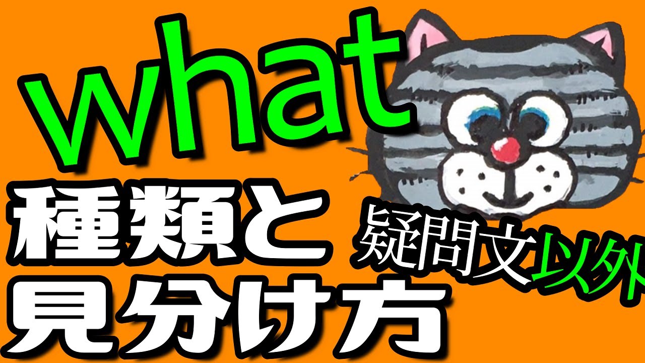もう怖くない！whatの種類まとめ(関係代名詞など)疑問文以外