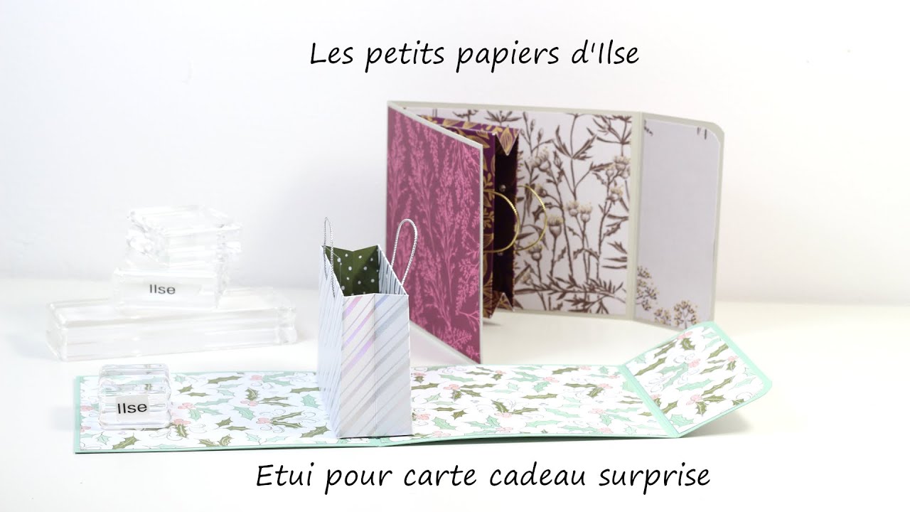 Étui à carte cadeau en sac de shopping