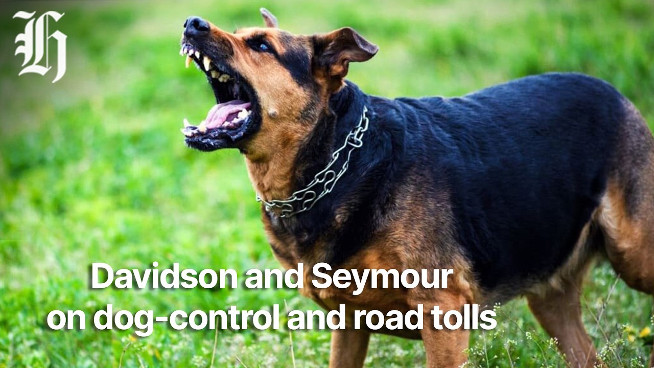'I accept it's a problem': Political panel on our need for stronger dog-control laws | Herald NOW