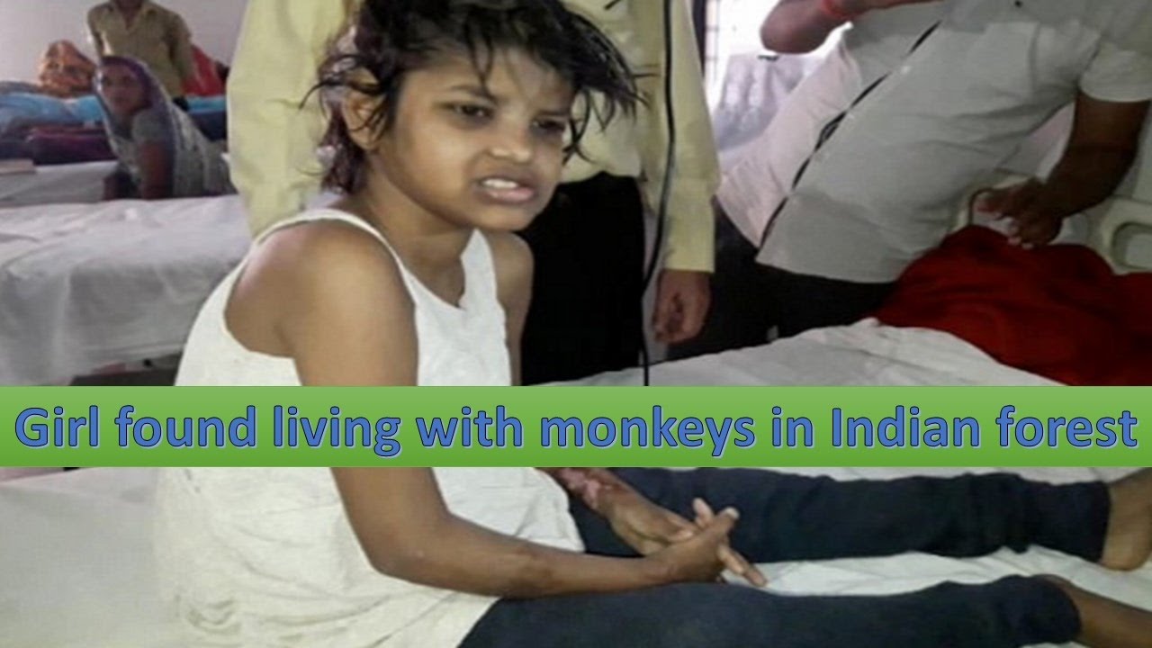 Girl found living with monkeys in Indian forest - YouTube